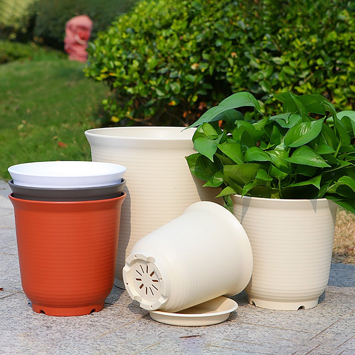 6 Inch Planter Nursery Pots, Plastic Planters Pots for Plants Flower Transplanting with Drainage Holes and Saucers, Beige, 6.06x4.25 6.06" x 4.25" Beige