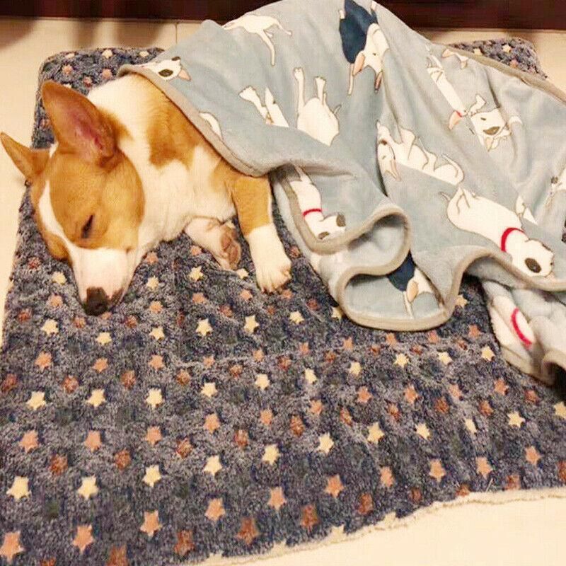 S Size Puppy Dog Cat Cushion Mattress Blanket Bed Soft Warm Pet Pad Winter Kennel House - Blue Brownstar