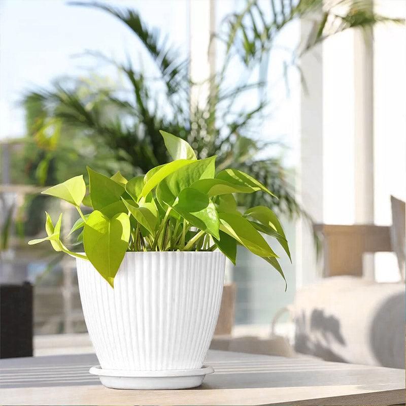 6PCS Simple Plastic Round Plant Pots Vertical Stripes Flower Pot Green Gardening - Green