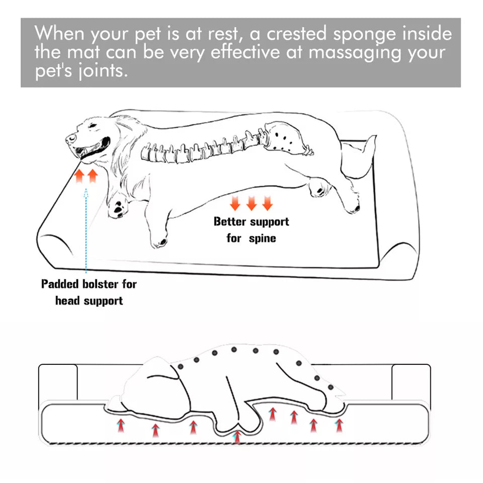 P&P Pet Cot with Bolster Support and Breathable Mesh Design for Dogs to Lounge(XL)