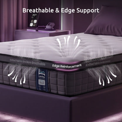 Levitex Single Mattress 2 Rows Edge Support for Deep Sleep 5-Zone Ergonomic Pocket Spring Breathable Corrugated Sponge Medium Firm 30CM