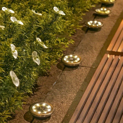 solar ground disk lights, outdoor lighting Australia, 8 LED lights, stainless steel solar lights, path lighting, garden driveway lights, courtyard lawn lighting, solar powered ground lights, energy efficient garden lights, automatic dusk to dawn lights -