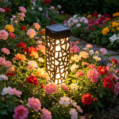 solar garden lights, outdoor waterproof lights, warm white LED pathway lights, automatic dusk to dawn lights, landscape lighting, lawn lights, patio lights, driveway lights, solar stake lights, Australian outdoor lights - Warm light - Size 6PCS