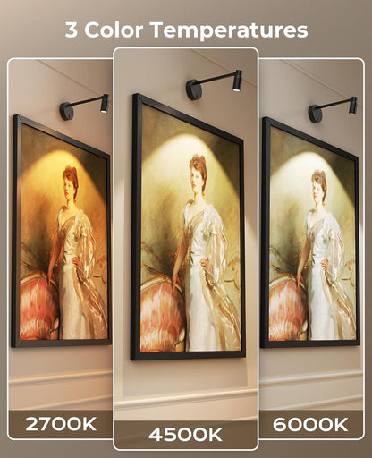 Zoomable Picture Light for Wall, Battery Operated Art Light for Paintings CCT Dimmable Spotlight for Wall Art Wall Light with Remote Control for Living Room Gallery Dartboard Bathroom 2PCS