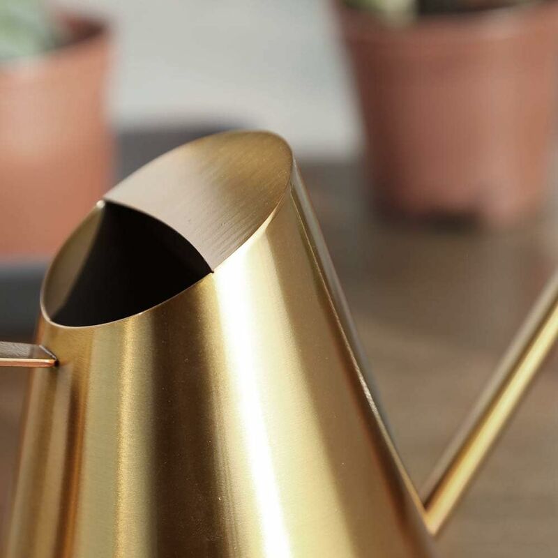 Stainless Steel Watering Can With Long Narrow Nozzle, Garden Plants Flower Tool, Ideal For Home, Garden, Balcony,