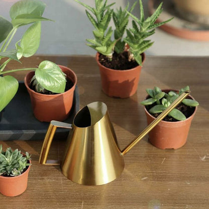 Stainless Steel Watering Can With Long Narrow Nozzle, Garden Plants Flower Tool, Ideal For Home, Garden, Balcony,