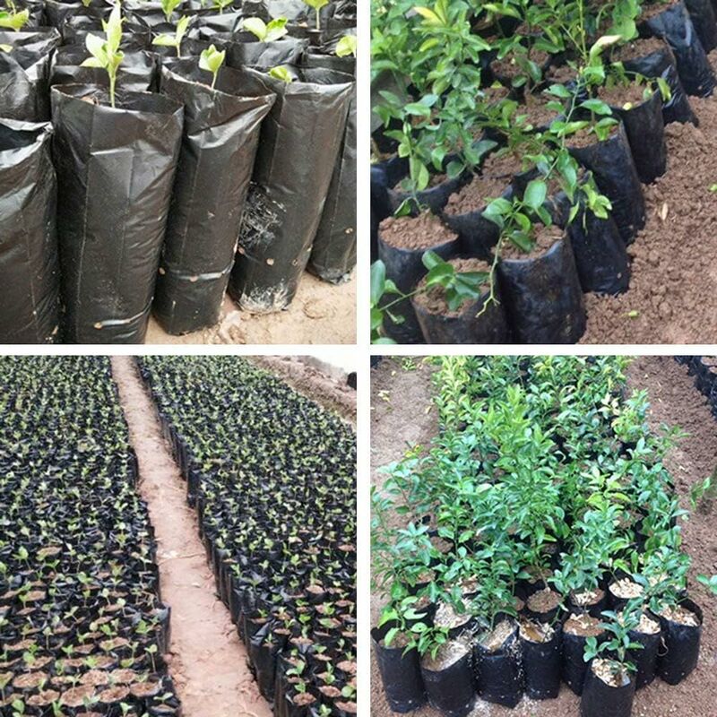 100 pcs Thickened Plastic Plant Nursery Bags Fruit Flower Seedling Planting Bags Garden Plant Grow Bags With Breathable