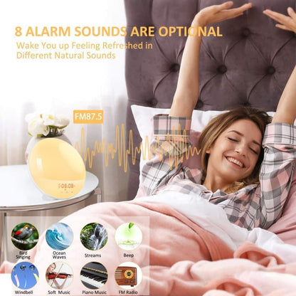 1 Pack Wake Up Light Alarm Clock with FM Radio and Sunrise Sunset Simulation