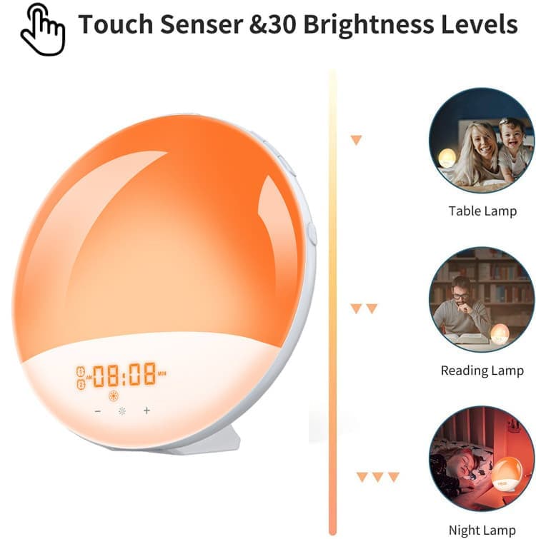 1 Pack Wake Up Light Alarm Clock with FM Radio and Sunrise Sunset Simulation