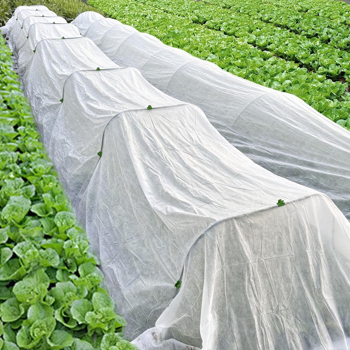 Frost Protection Plant Cover - Winter Cover Winter Protection - Plant Cover - Winter Cover - Durable - Frost Protection - Plant Cover - For the Garden, Raised Bed, Plants, Frost Blanket, Outdoor Flowers and Vegetables - 1.5 X 5 M - White - 1 Piece