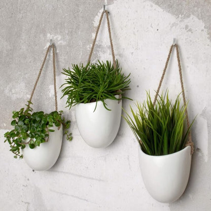 Fei Yu 3-Pack White Ceramic Wall Pots