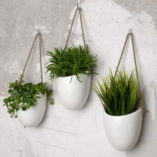 Fei Yu 3-Pack White Ceramic Wall Pots
