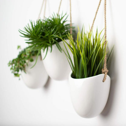 Fei Yu 3-Pack White Ceramic Wall Pots