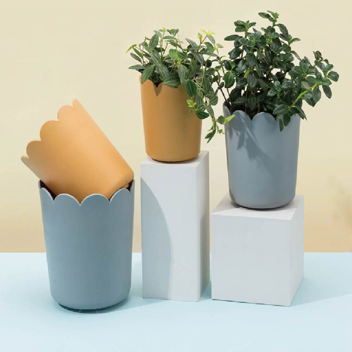 Flower Pots , Garden Supplies Promotion! Plastic Plant Pots for Plants With Saucers Indoor Set of 1 Plastic Planters Modern Flower Pot With Hole for All House Plants Herbs Flowers Or4 Z5-OR1