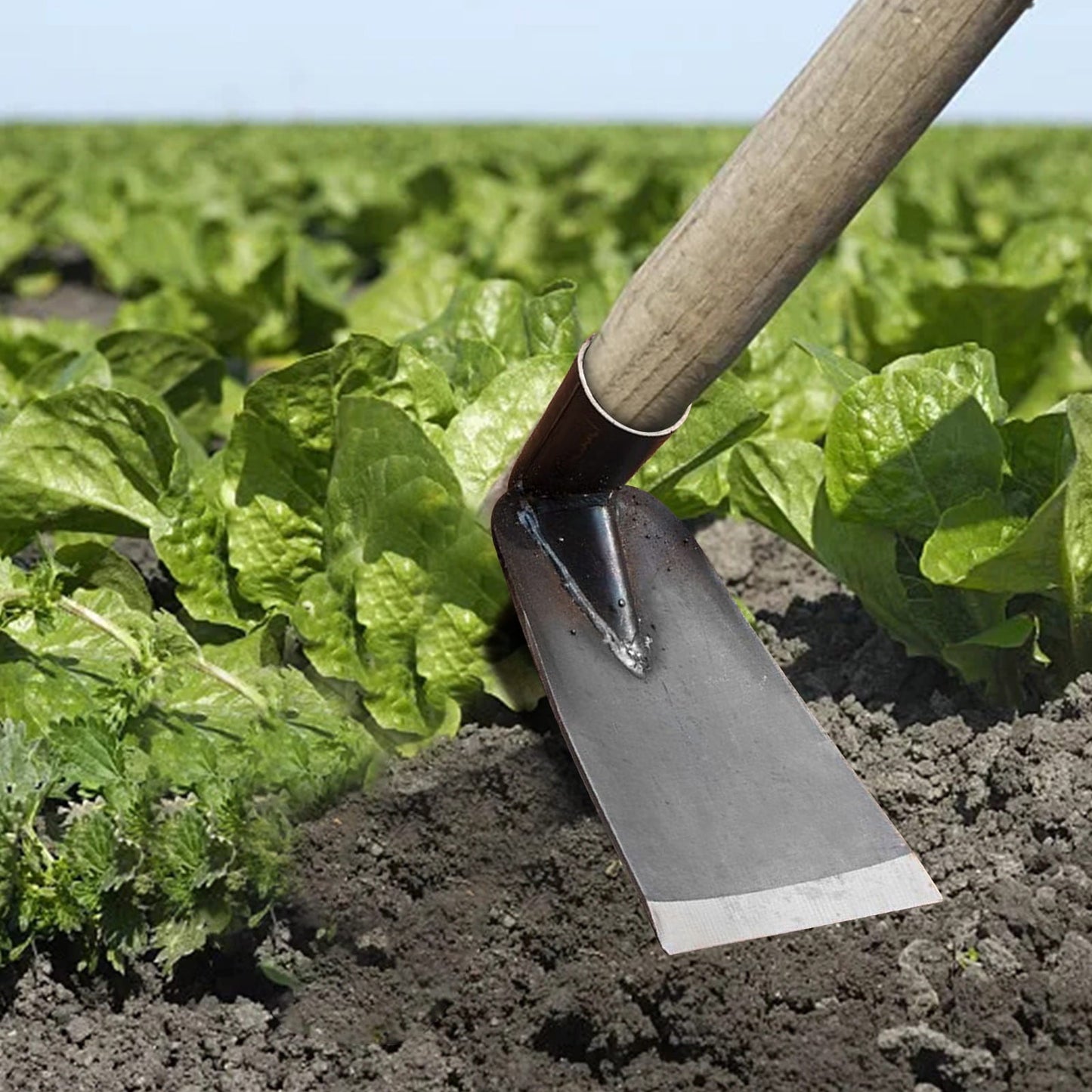 Cetilox Outdoor Hoe Garden Tool -Garden Hula Hoes for Weeding Gardening - Weeding Loop Stirrup Hoe for Planting Vegetables Flower Hoes - Planting Vegetables Flower Hoes Without handle C
