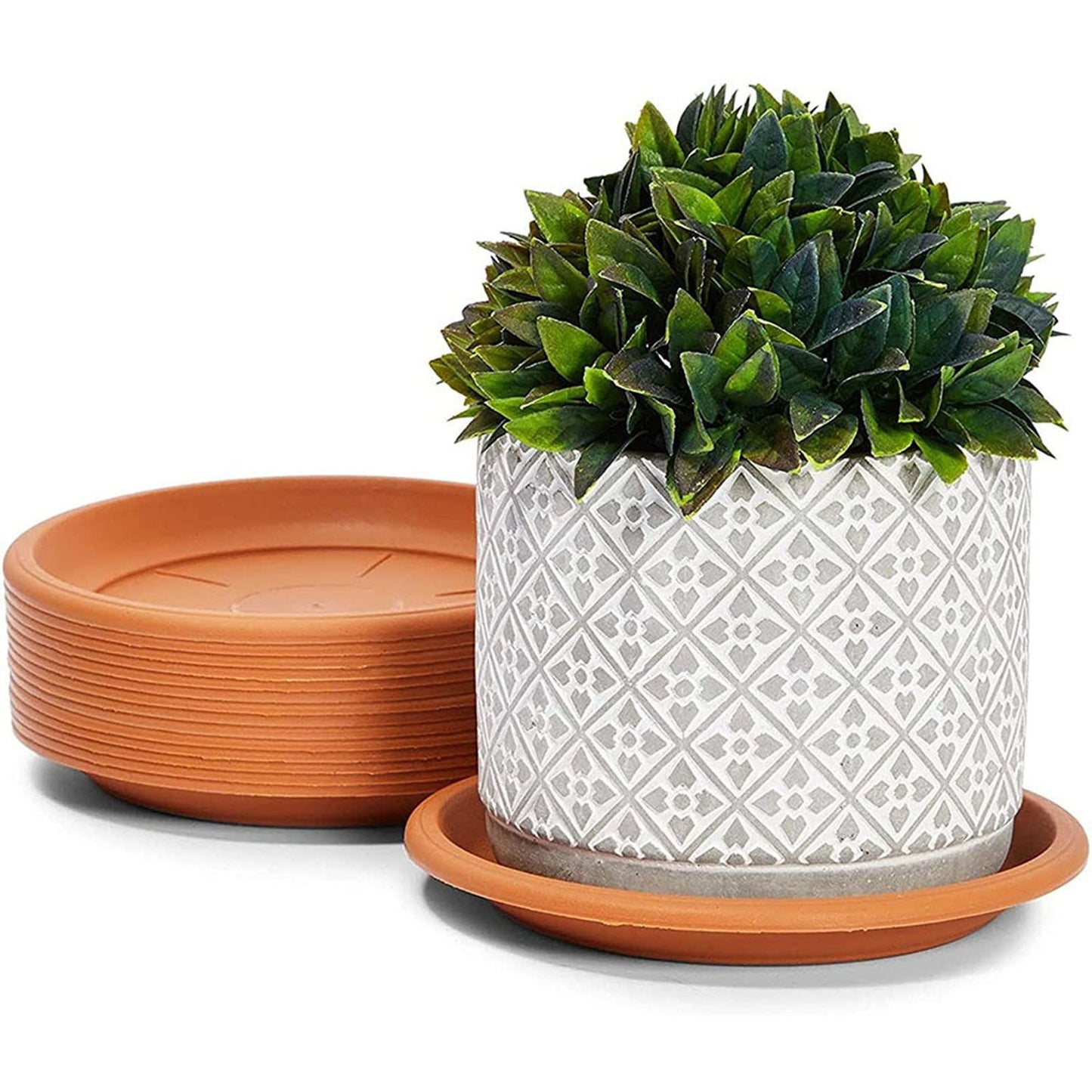 Heavy Duty Plastic Plant Saucer - 8 Inch Round Flower Pot Drip Tray, Durable Flowerpot Base for Indoor/Outdoor Use, Water Catcher for Potted Plants, Easy to Clean, Black B