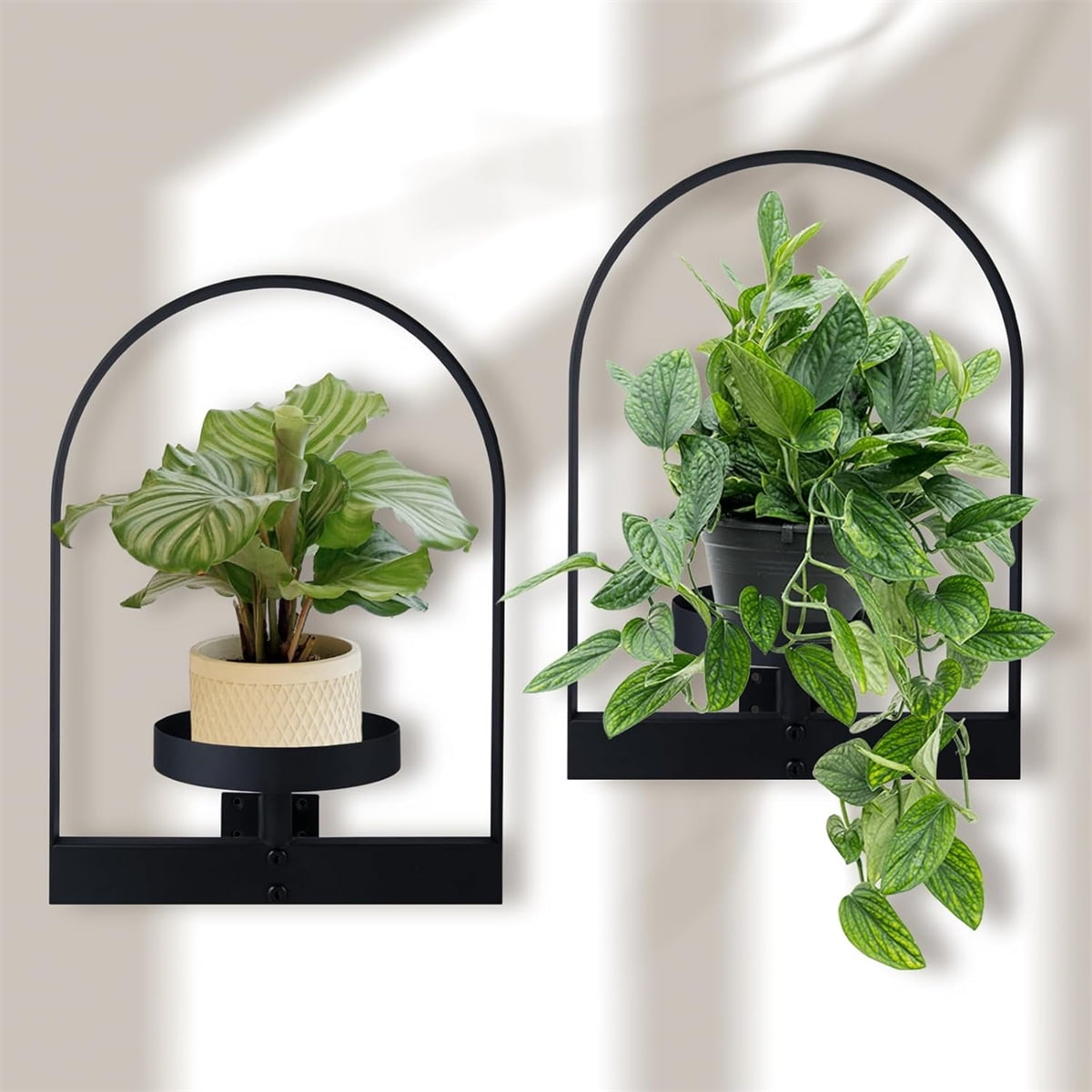 Metal Hanging Flower Holder,QZS Wall Plant Holders,Premium Picture Frame Flower Stand,Portable Indoor Plant Shelves for Bathroom,Living Room,2pcs