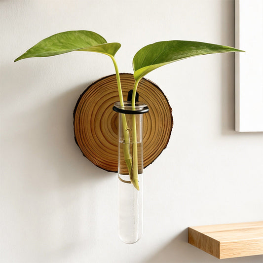 Plant Propagation Station, Wall Hanging Plants Terrarium, Wall Mounted Vases Flower Pots, Hydroponic Plants Vases, for Home Office Decor, Test Tube Propagate Air Plant Cutting Holder 1Pc