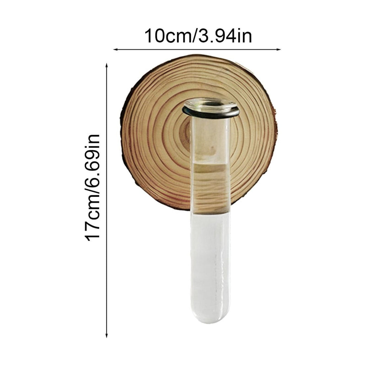 Plant Propagation Station, Wall Hanging Plants Terrarium, Wall Mounted Vases Flower Pots, Hydroponic Plants Vases, for Home Office Decor, Test Tube Propagate Air Plant Cutting Holder 1Pc
