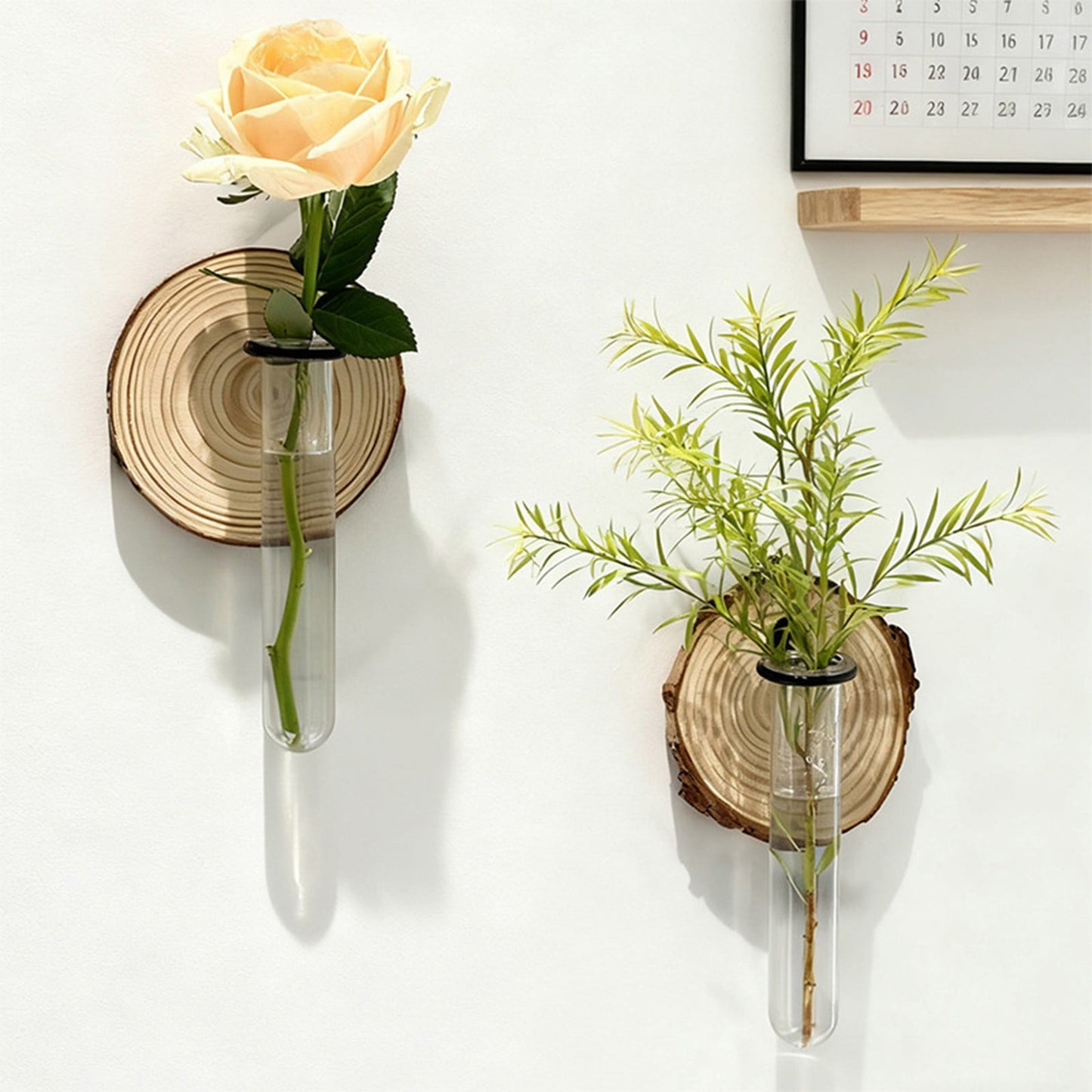 Plant Propagation Station, Wall Hanging Plants Terrarium, Wall Mounted Vases Flower Pots, Hydroponic Plants Vases, for Home Office Decor, Test Tube Propagate Air Plant Cutting Holder 1Pc
