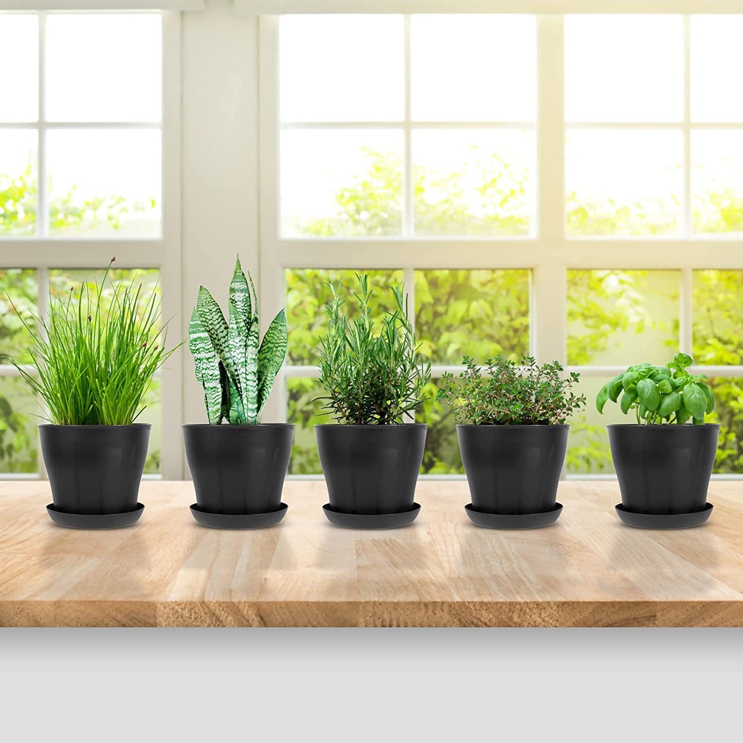 Tutuviw 4 inch Plant Pots,Plastic Planters with Drainage Holes and Saucers for Flowers Plants, Succulents,Seed Starting Pots, Black，8Pack 4inch-Black