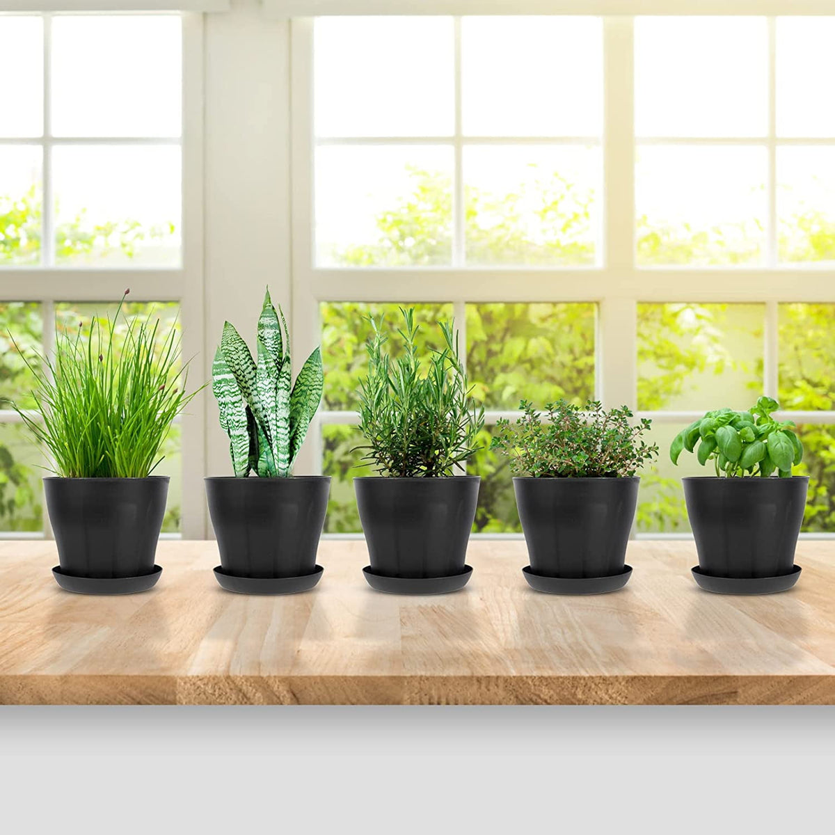 4 inch Plant Pots,Plastic Planters with Drainage Holes and Saucers for Flowers Plants, Succulents,Seed Starting Pots, Black，8Pack 4inch-Black