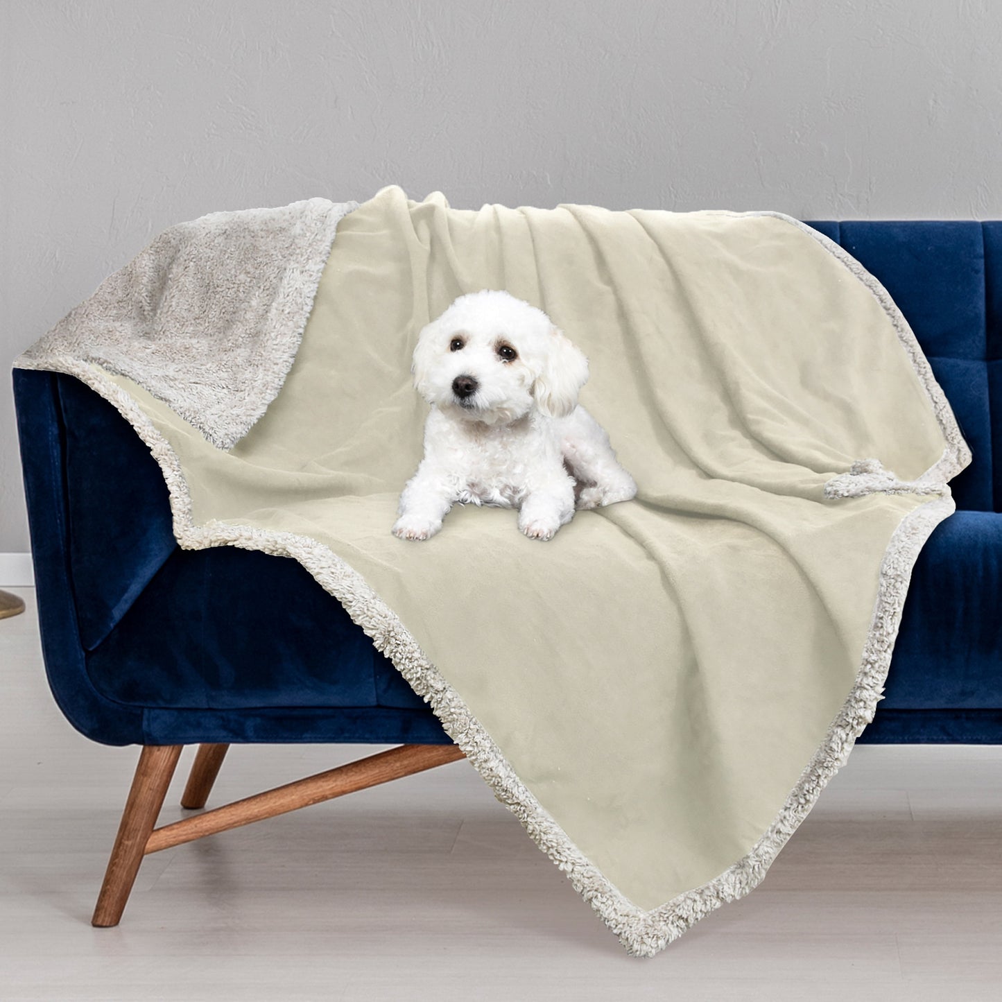 Pawsse Waterproof Pet Blanket, Pee Urine Proof Dog Blanket Cover for Couch Bed Furniture Protector, Liquid Proof Blanket for Small Medium Dogs, Buffale Red/Tuape, 50” x 60”. Camel/Tuape