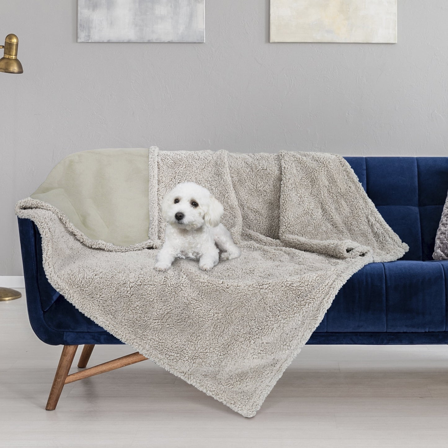 Pawsse Waterproof Pet Blanket, Pee Urine Proof Dog Blanket Cover for Couch Bed Furniture Protector, Liquid Proof Blanket for Small Medium Dogs, Buffale Red/Tuape, 50” x 60”. Camel/Tuape