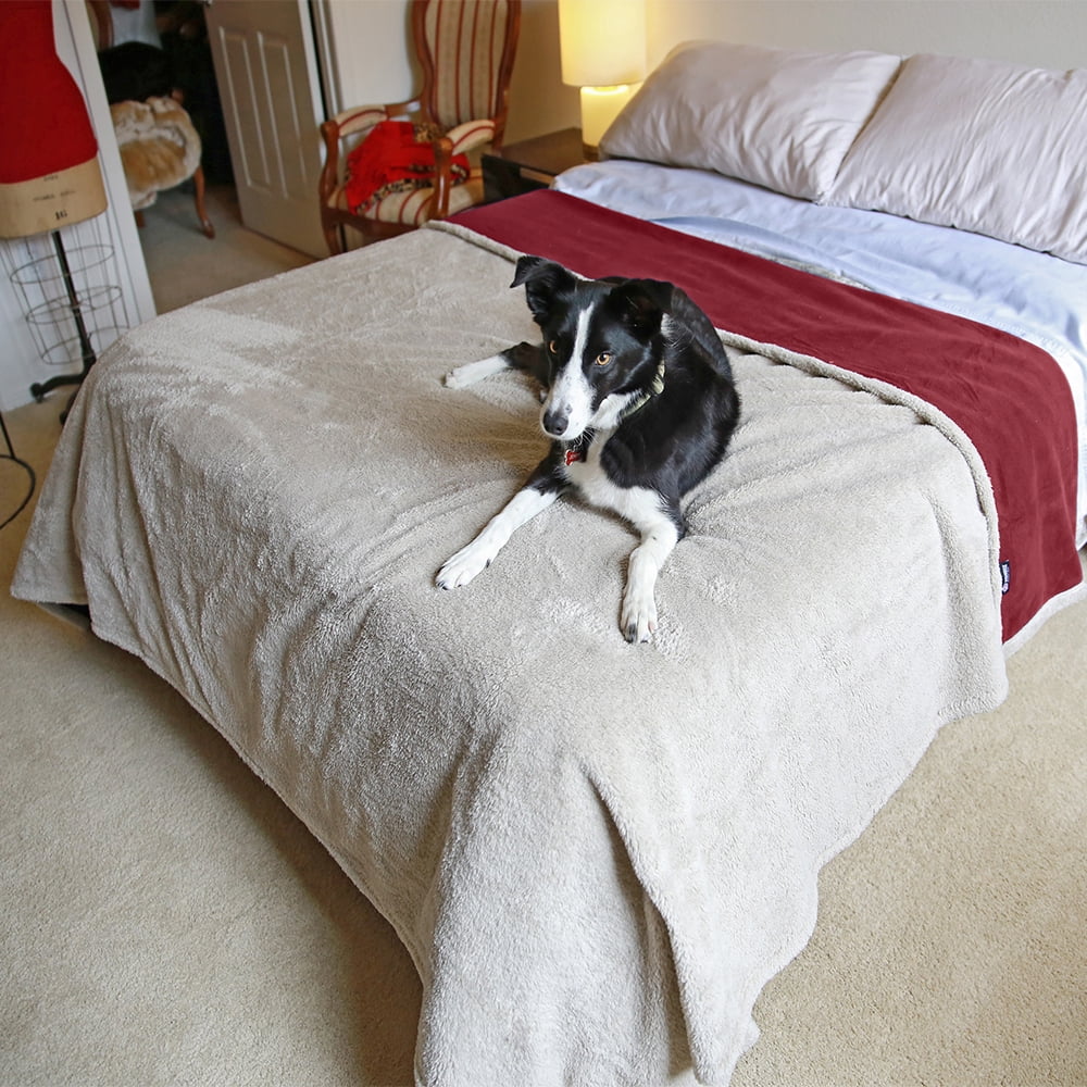 Pawsse Waterproof Pet Blanket, Pee Urine Proof Dog Blanket Cover for Couch Bed Furniture Protector, Liquid Proof Blanket for Small Medium Dogs, Buffale Red/Tuape, 50” x 60”. Wine/Tuape
