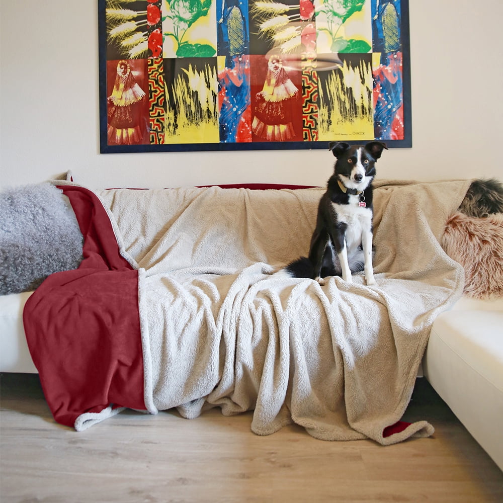 Pawsse Waterproof Pet Blanket, Pee Urine Proof Dog Blanket Cover for Couch Bed Furniture Protector, Liquid Proof Blanket for Small Medium Dogs, Buffale Red/Tuape, 50” x 60”. Wine/Tuape