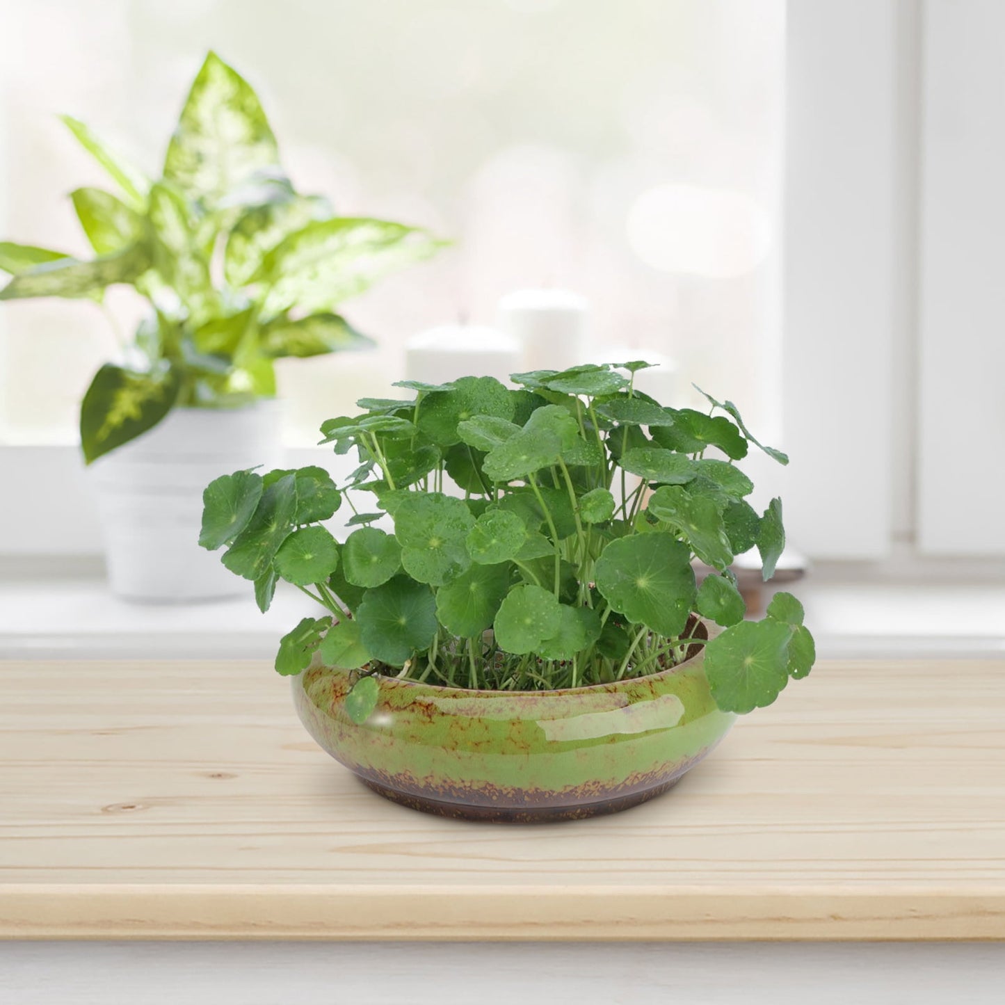 HOOWIFFY Green Ceramic Flower Pot, Hydroponic Planter for Indoor and Outdoor Garden Decor
