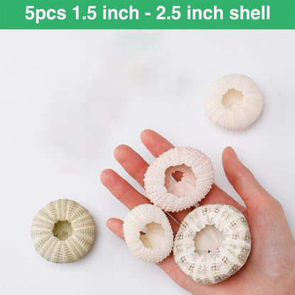 Tutuviw 5 Pcs Mini Sea Urchin Shell Air Plant Holders,Decorative Hanging Air Plant Pot, Tillandsia Succulent Display Container for Home Gardening Gifts Beach Theme Party Decors, No Plants