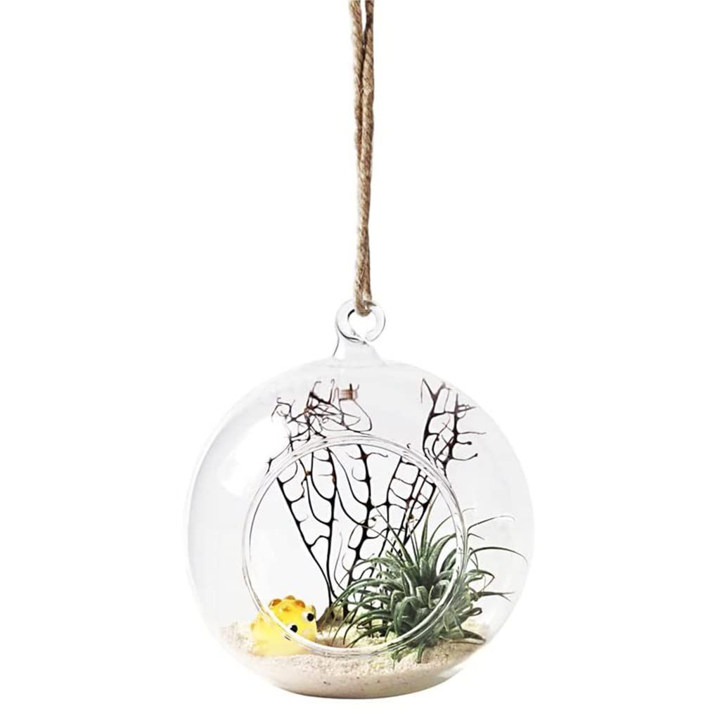 Hanging Glass Planter Globe Tea Light Candle Holder Succulents Vase Hanger Air Plant Terrarium for Home Wedding  8cm