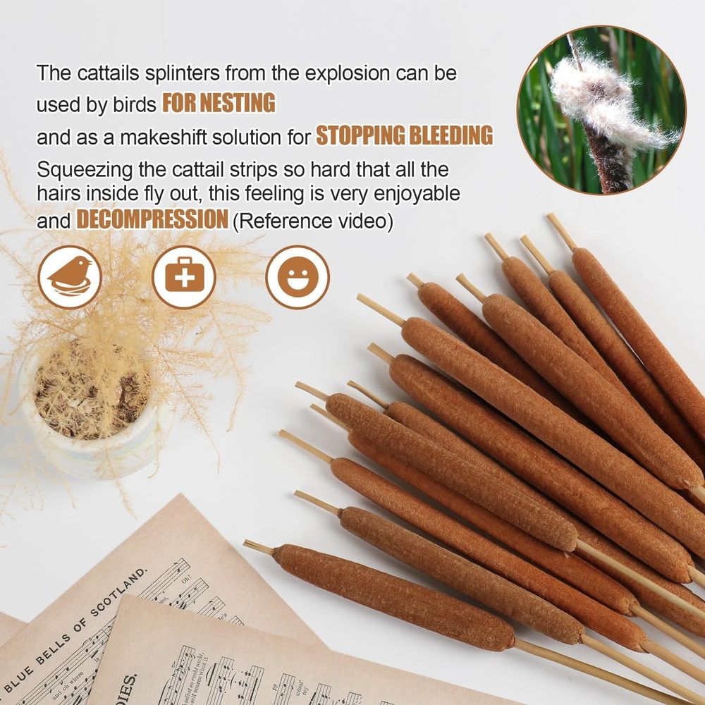 15 Pcs Dried Natural Cattails for DIY Floral Arrangements and Home Office Decor - 16 Inch Length