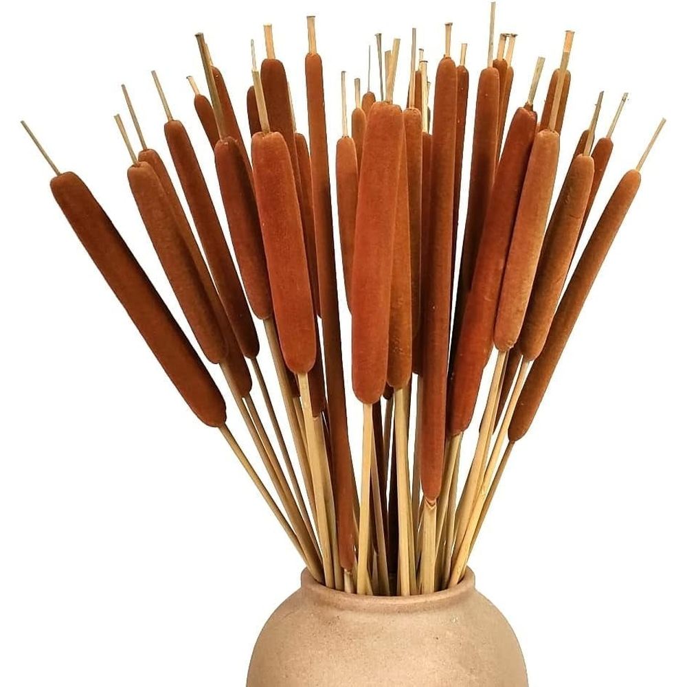 15Pcs Dried Natural Cattail Flowers, 16" Assorted Cattails for Modern Boho Decor, Grass Decorations, Farmhouse Wedding Bouquet, Vase Arrangements