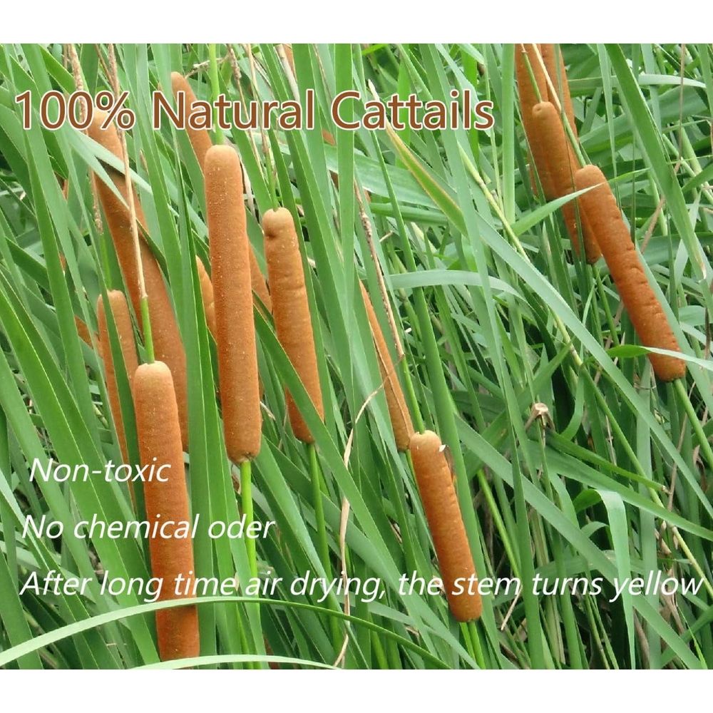 15Pcs Dried Natural Cattail Flowers, 16" Assorted Cattails for Modern Boho Decor, Grass Decorations, Farmhouse Wedding Bouquet, Vase Arrangements