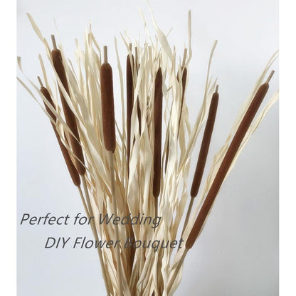 15Pcs Dried Natural Cattail Flowers, 16" Assorted Cattails for Modern Boho Decor, Grass Decorations, Farmhouse Wedding Bouquet, Vase Arrangements