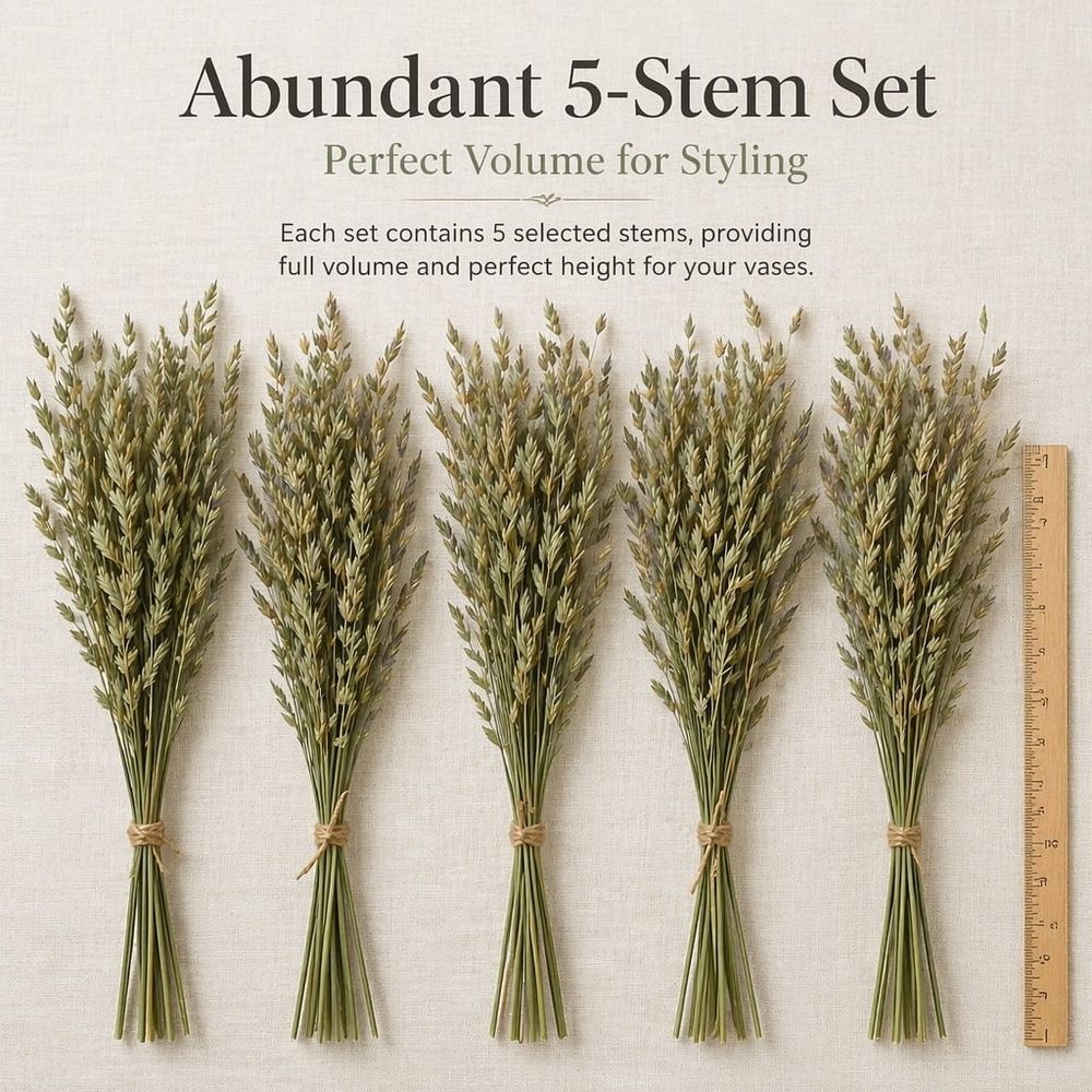 5 Stems Preserved Wild Oats Grass Bouquet, 20 Inch Natural Dried Ornamental Oats Stems, Long Lasting Dry Grass Arrangement for Vase Home Farmhouse Boho Table Decor