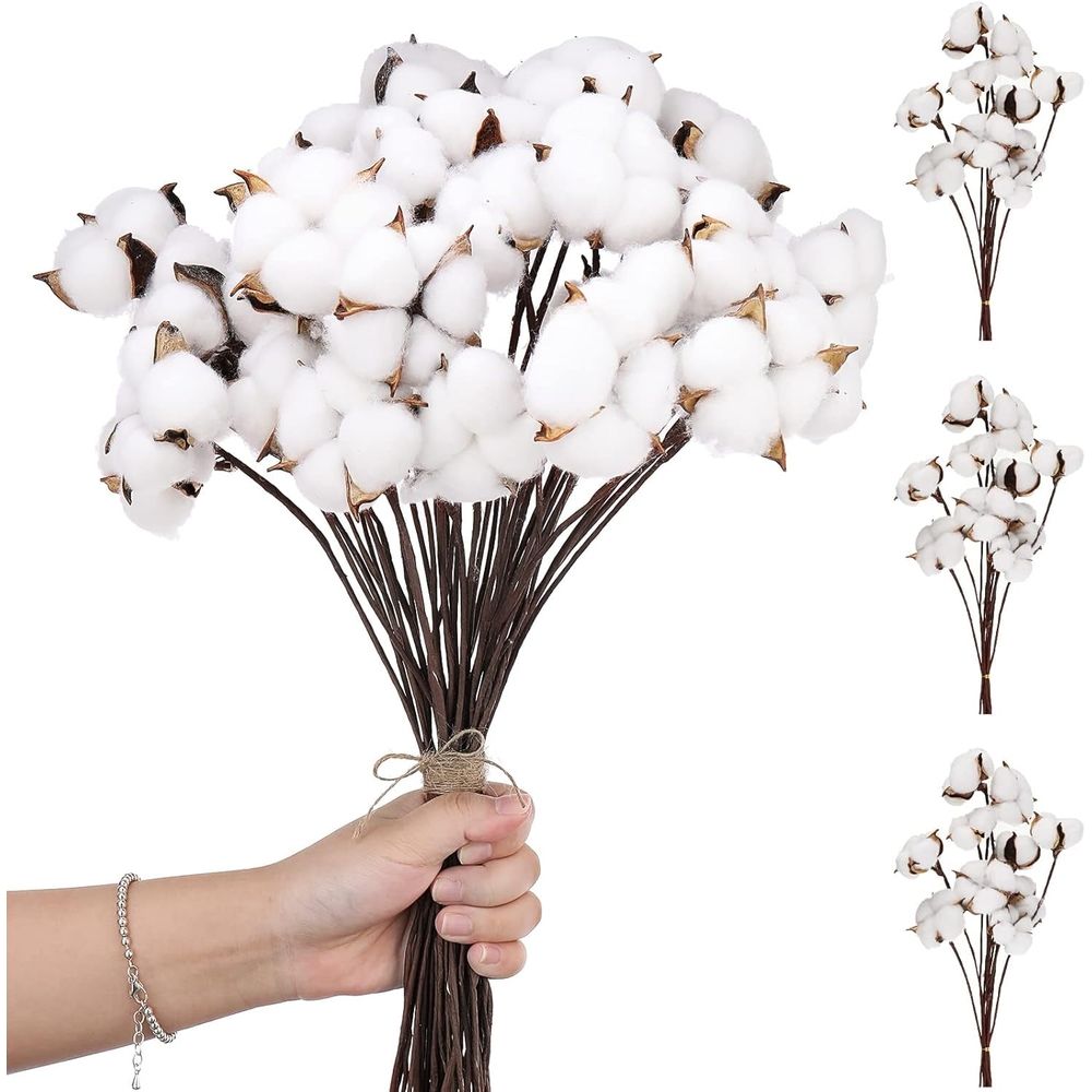 10PCS Cotton Stems, Cotton Flower Bolls, 10 Inch Cotton Branch, Natural Cotton Floral Plant Stick for Farmhouse Decor, Vase Fillers