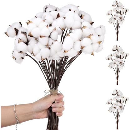10PCS Cotton Stems, Cotton Flower Bolls, 10 Inch Cotton Branch, Natural Cotton Floral Plant Stick for Farmhouse Decor, Vase Fillers