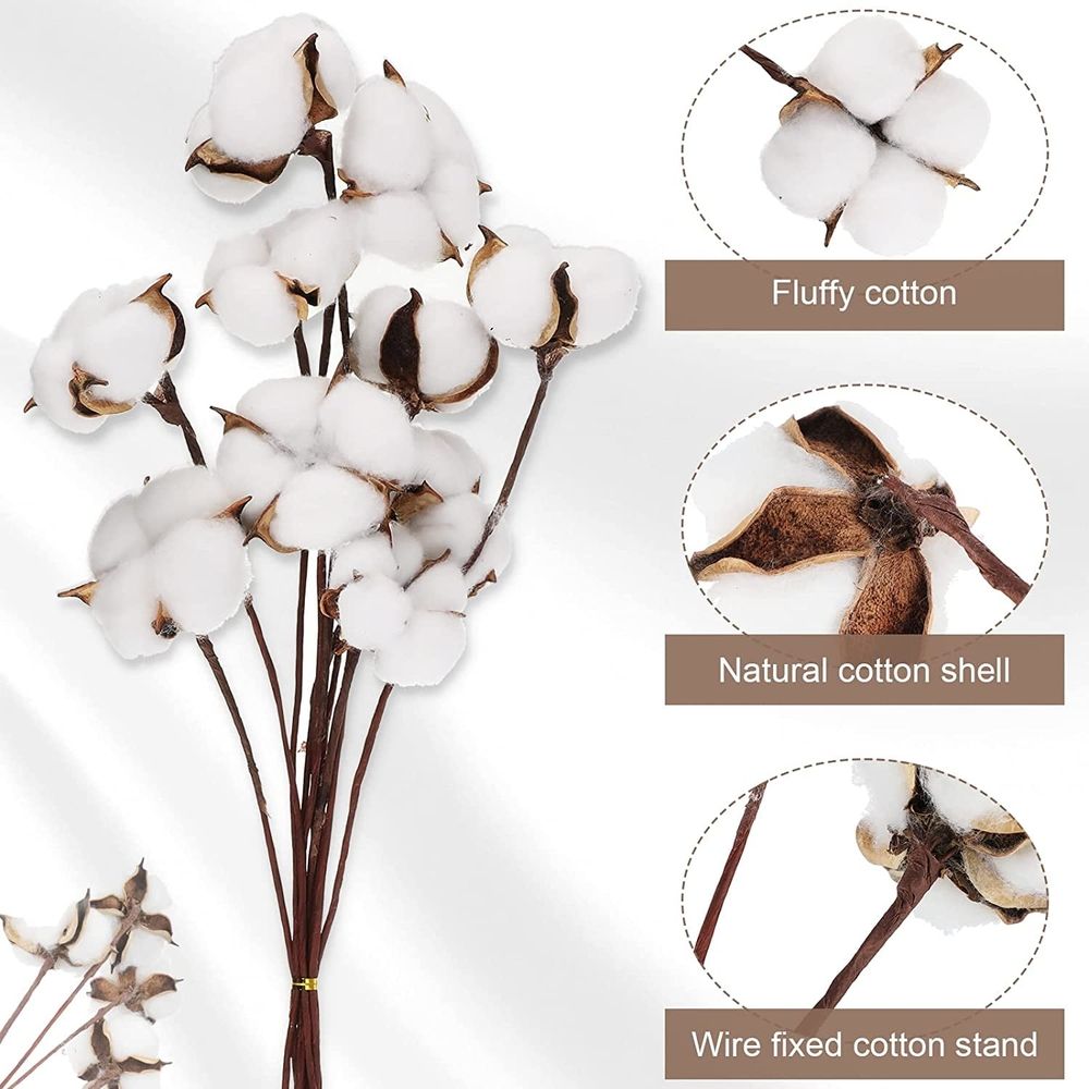 10PCS Cotton Stems, Cotton Flower Bolls, 10 Inch Cotton Branch, Natural Cotton Floral Plant Stick for Farmhouse Decor, Vase Fillers