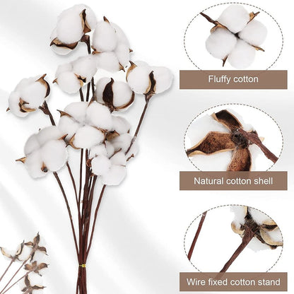 10PCS Cotton Stems, Cotton Flower Bolls, 10 Inch Cotton Branch, Natural Cotton Floral Plant Stick for Farmhouse Decor, Vase Fillers