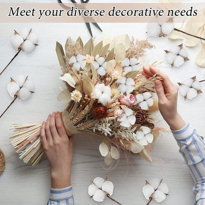 10PCS Cotton Stems, Cotton Flower Bolls, 10 Inch Cotton Branch, Natural Cotton Floral Plant Stick for Farmhouse Decor, Vase Fillers