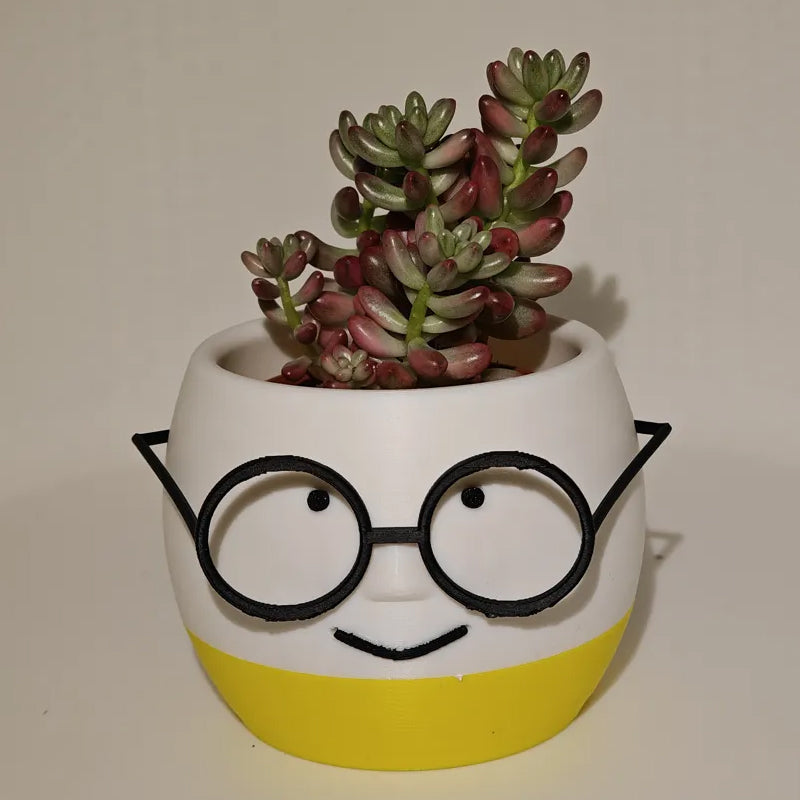 Simple and adorable 3D printed glass flower pots—use them to decorate your home! White and blue, single piece.