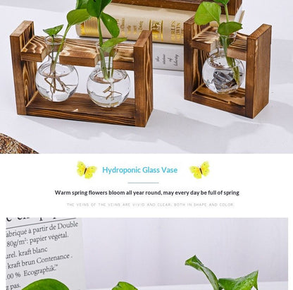 HydroponicWoodenFramewithSnap-On-DiamondSingleBottle
