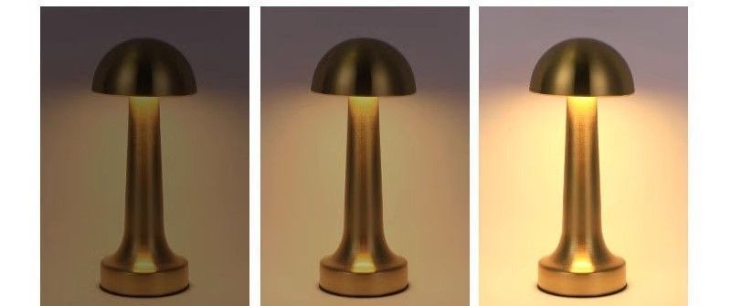 3-Color Dimmable LED Table Lamp Silver Dumbbell B Style, USB Charging Minimalist Metal Tap Light, Office Desk Eye-Caring Ambient Light, Great Christmas Present