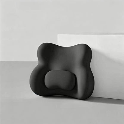 Upgraded Lumbar Support Pillow, Mysterious Black