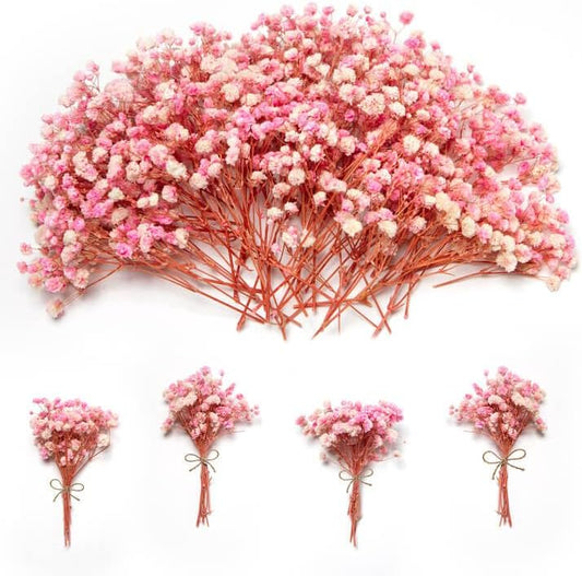 1500+ Mini Pink Dried Babys Breath Flowers, 50pcs Baby Breath Bouquet, 6'' Natural Gypsophila Bulk, Dried Flowers for Gifts, DIY Crafts, Wedding Decor, Card Making, Vase Filler, Wreath Floral