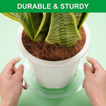Petluno 24 Pack Clear Plant Saucers - 6, 8, 10, 12 Inch Plastic Trays for Pots, Flower Pot Saucers, Indoor & Outdoor Planter Drip Tray Water Drainage Protection  6",8",10",12"-