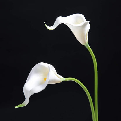 20Pcs Artificial Calla Lily Flower Real Touch Latex Flowers for DIY Wedding Bouquet Party Home Decor (White-Yellow Core)